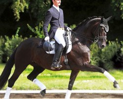 broodmare Miss Facette de Lully (Swiss Warmblood, 2002, from Mr.G)