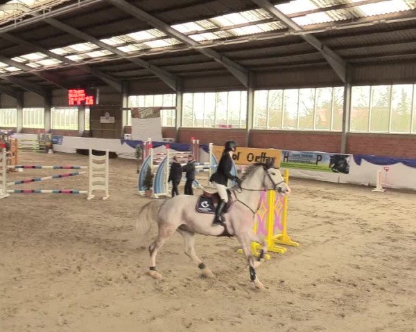 Reitturnier Greven 2018