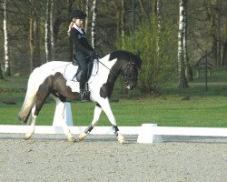 jumper Gonsales (unknown, 2003)