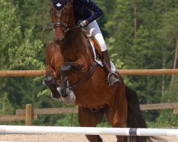 jumper L'Espoir 14 (Bavarian, 2011, from Le Balou 3)