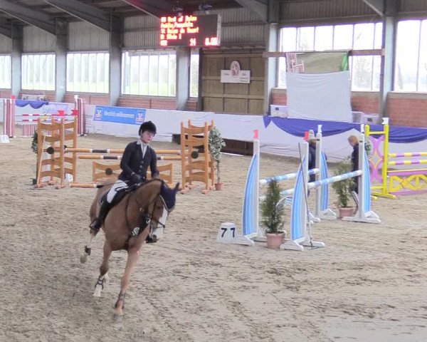 Reitturnier Greven 2018