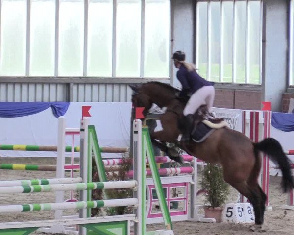 Reitturnier Greven 2018