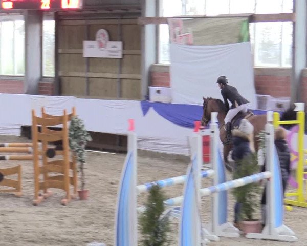 Reitturnier Greven 2018