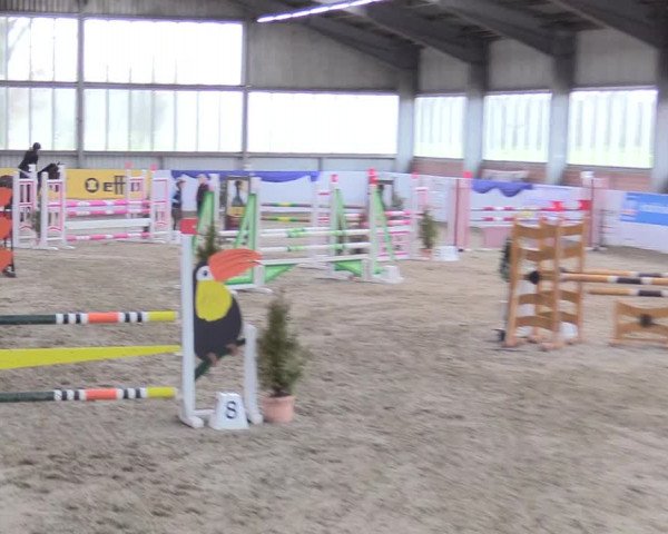 Reitturnier Greven 2018