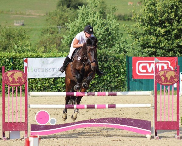 jumper Johnny Walker 59 (KWPN (Royal Dutch Sporthorse), 2006, from Concorde)