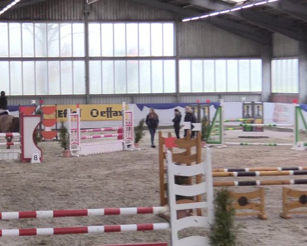 Reitturnier Greven 2018