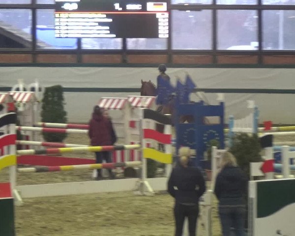 Reitturnier Monheim - Gut Blee 2018