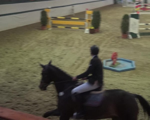 Reitturnier Monheim - Gut Blee 2018