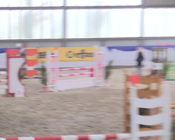 Reitturnier Greven 2018