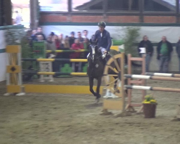 Reitturnier Monheim - Gut Blee 2018