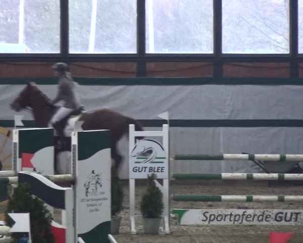 Reitturnier Monheim - Gut Blee 2018