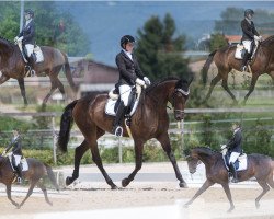 dressage horse Romanovs Romika M (Hanoverian, 2009, from Blue Hors Romanov)