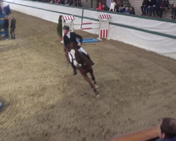 Reitturnier Monheim - Gut Blee 2018