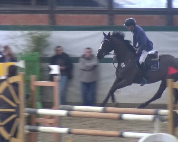 Reitturnier Monheim - Gut Blee 2018