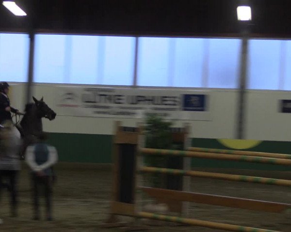 Reitturnier Warendorf-Freckenhorst 2018