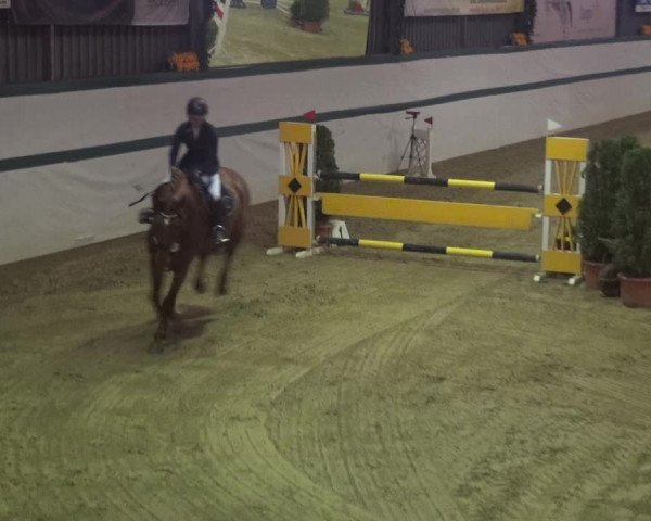 Reitturnier Monheim - Gut Blee 2018