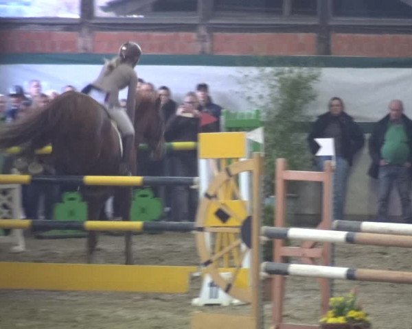 Reitturnier Monheim - Gut Blee 2018
