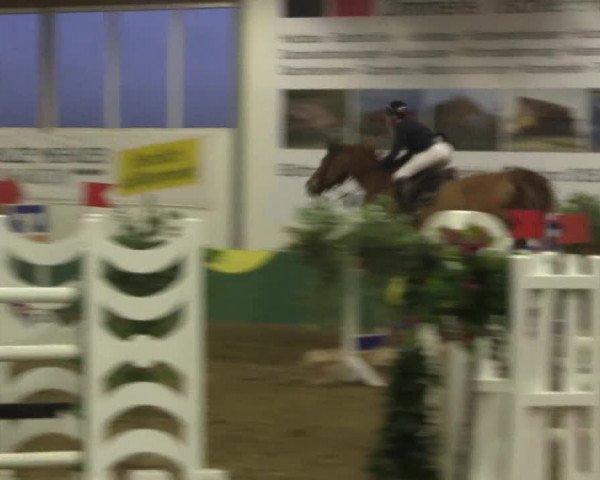 Reitturnier Warendorf-Freckenhorst 2018
