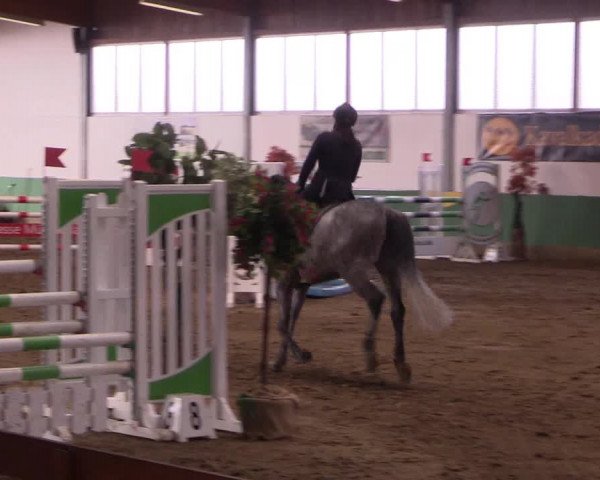 Reitturnier Warendorf-Freckenhorst 2018