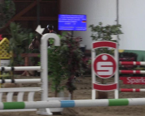 Reitturnier Warendorf-Freckenhorst 2018