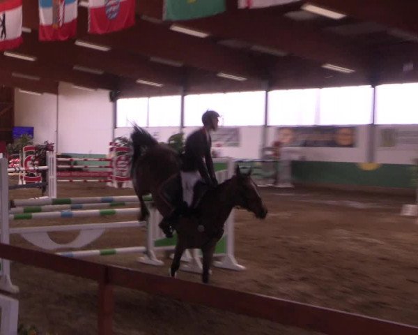 Reitturnier Warendorf-Freckenhorst 2018
