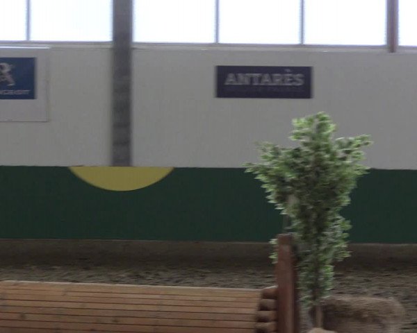Reitturnier Warendorf-Freckenhorst 2018