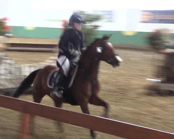 Reitturnier Warendorf-Freckenhorst 2018