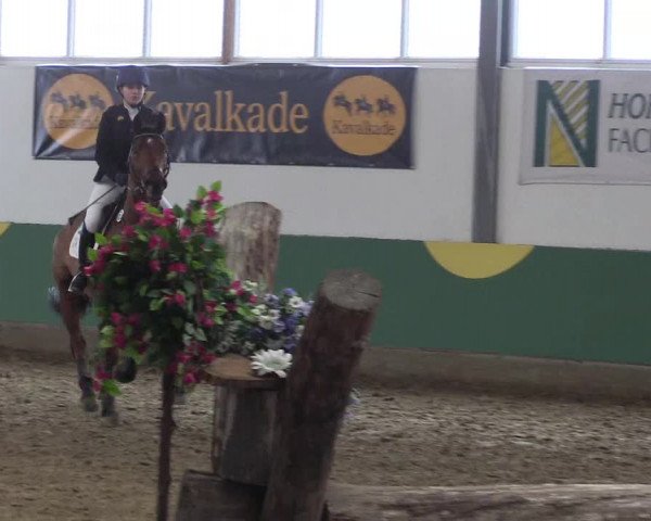 Reitturnier Warendorf-Freckenhorst 2018
