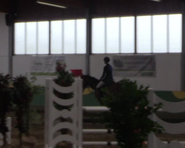 Reitturnier Warendorf-Freckenhorst 2018