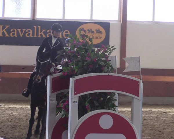 Reitturnier Warendorf-Freckenhorst 2018