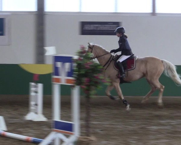 Reitturnier Warendorf-Freckenhorst 2018