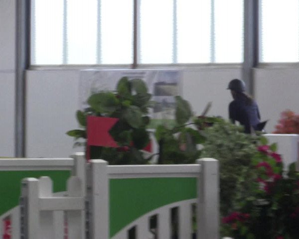 Reitturnier Warendorf-Freckenhorst 2018