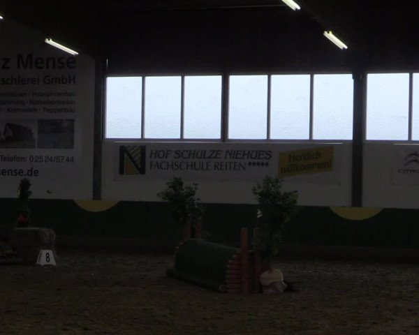 Reitturnier Warendorf-Freckenhorst 2018