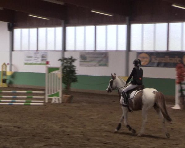 Reitturnier Warendorf-Freckenhorst 2018