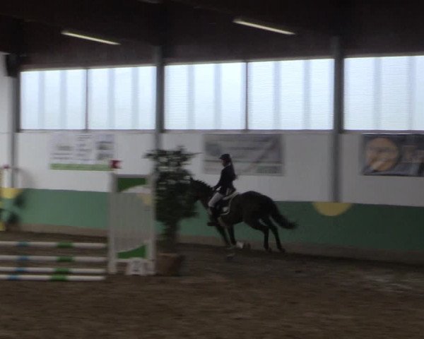 Reitturnier Warendorf-Freckenhorst 2018