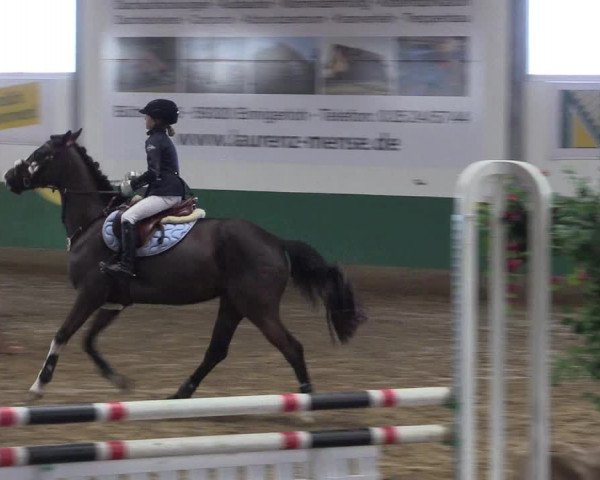 Reitturnier Warendorf-Freckenhorst 2018