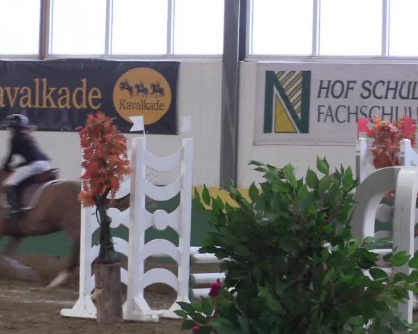 Reitturnier Warendorf-Freckenhorst 2018