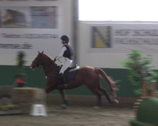 Reitturnier Warendorf-Freckenhorst 2018