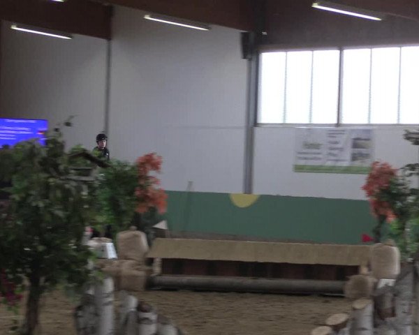 Reitturnier Warendorf-Freckenhorst 2018