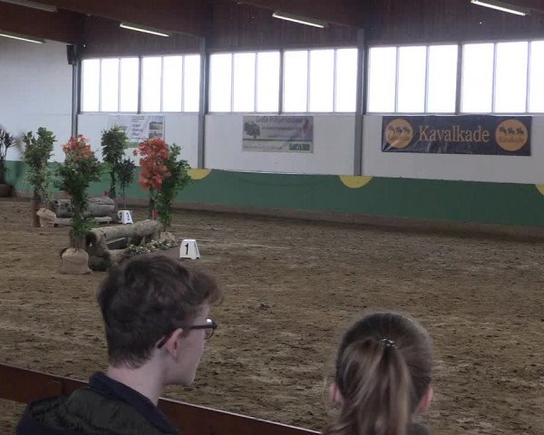 Reitturnier Warendorf-Freckenhorst 2018