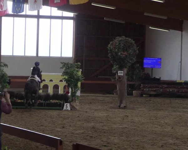Reitturnier Warendorf-Freckenhorst 2018