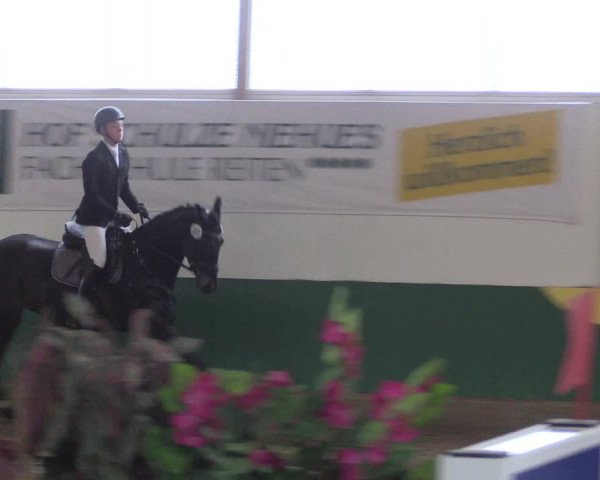 Reitturnier Warendorf-Freckenhorst 2018