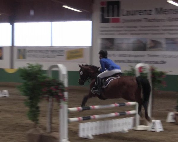 Reitturnier Warendorf-Freckenhorst 2018