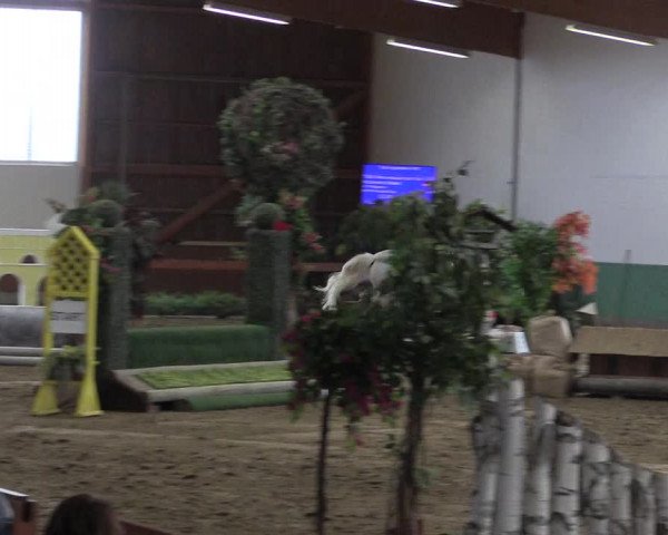 Reitturnier Warendorf-Freckenhorst 2018
