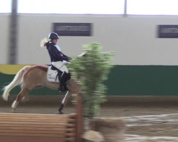 Reitturnier Warendorf-Freckenhorst 2018