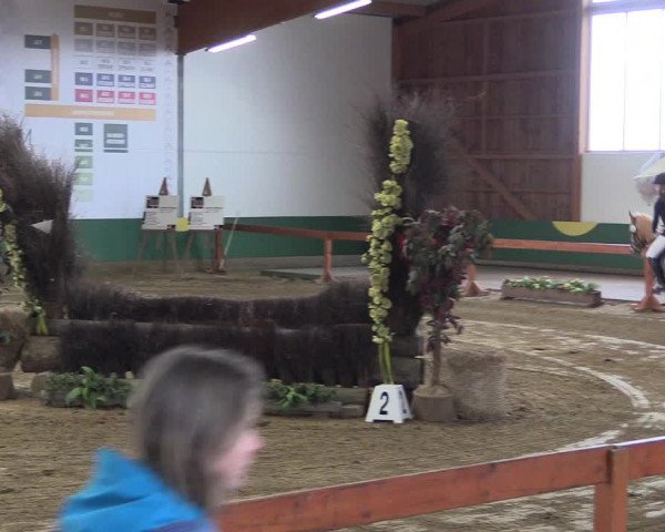 Reitturnier Warendorf-Freckenhorst 2018