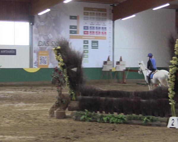 Reitturnier Warendorf-Freckenhorst 2018