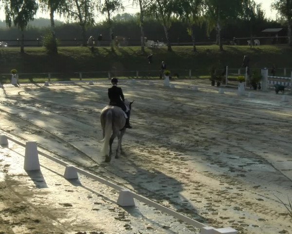 Reitturnier Reilingen 2021