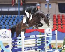 jumper Blue Eye 25 (Oldenburg show jumper, 2012, from Balou du Rouet)