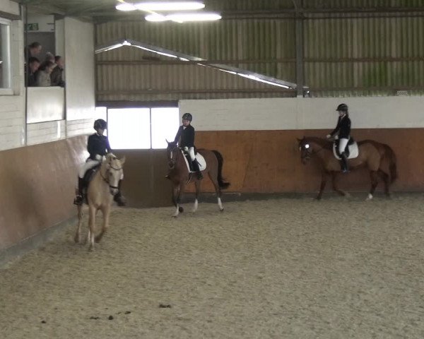 Reitturnier Leichlingen-Witzhelden 2018